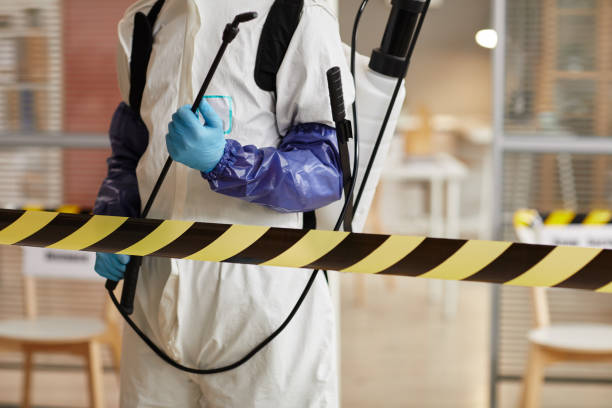 Professional Blood Cleanup technician working in Labadie, MO